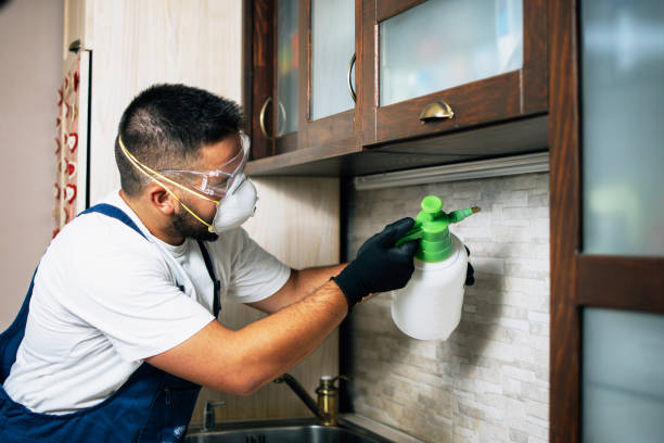 Best Pest Prevention Services  in Blowing Rock, NC