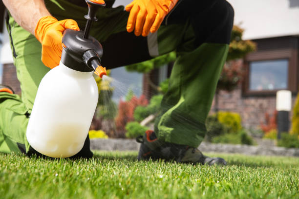 Best Pest Control for Businesses  in Blowing Rock, NC
