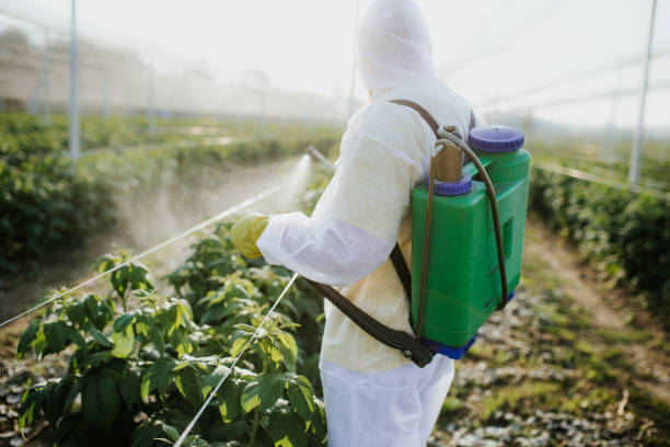 Reliable Blowing Rock, NC Pest Control Solutions